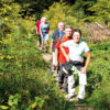 Führungen auf dem Atem-Weg