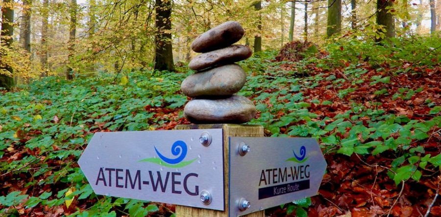 Kraftorte Schweiz besucht den Atem-Weg