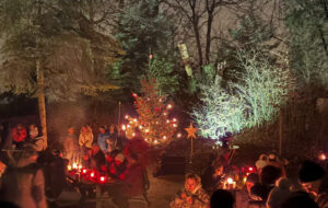 Einladung zur Waldweihnacht 2025