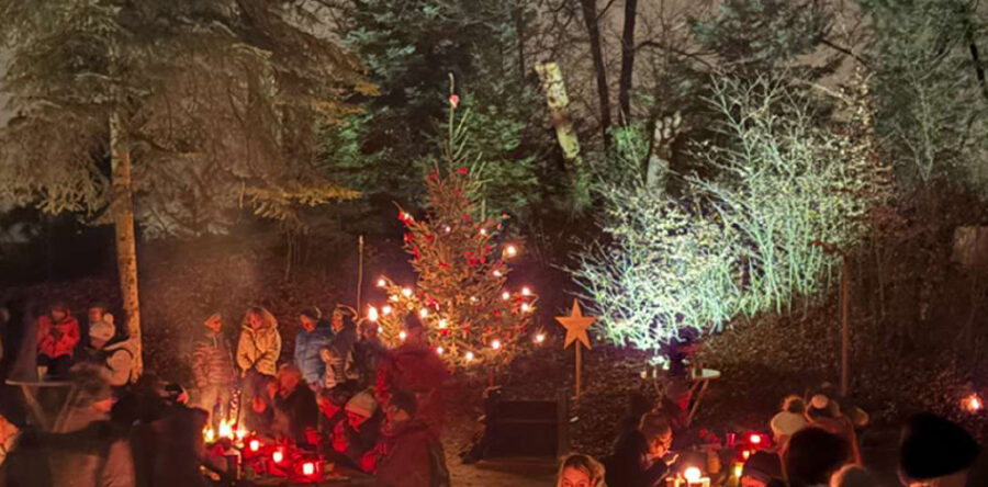 Einladung zur Waldweihnachtsfeier 2025